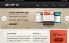 攻击网站的方法